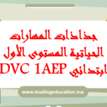 جذاذات المهارات الحياتية DVC المستوى الاول ابتدائي 1AEP 2025/2026