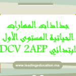 جذاذات المهارات الحياتية المستوى الثاني ابتدائي DCV 2AEP 2025